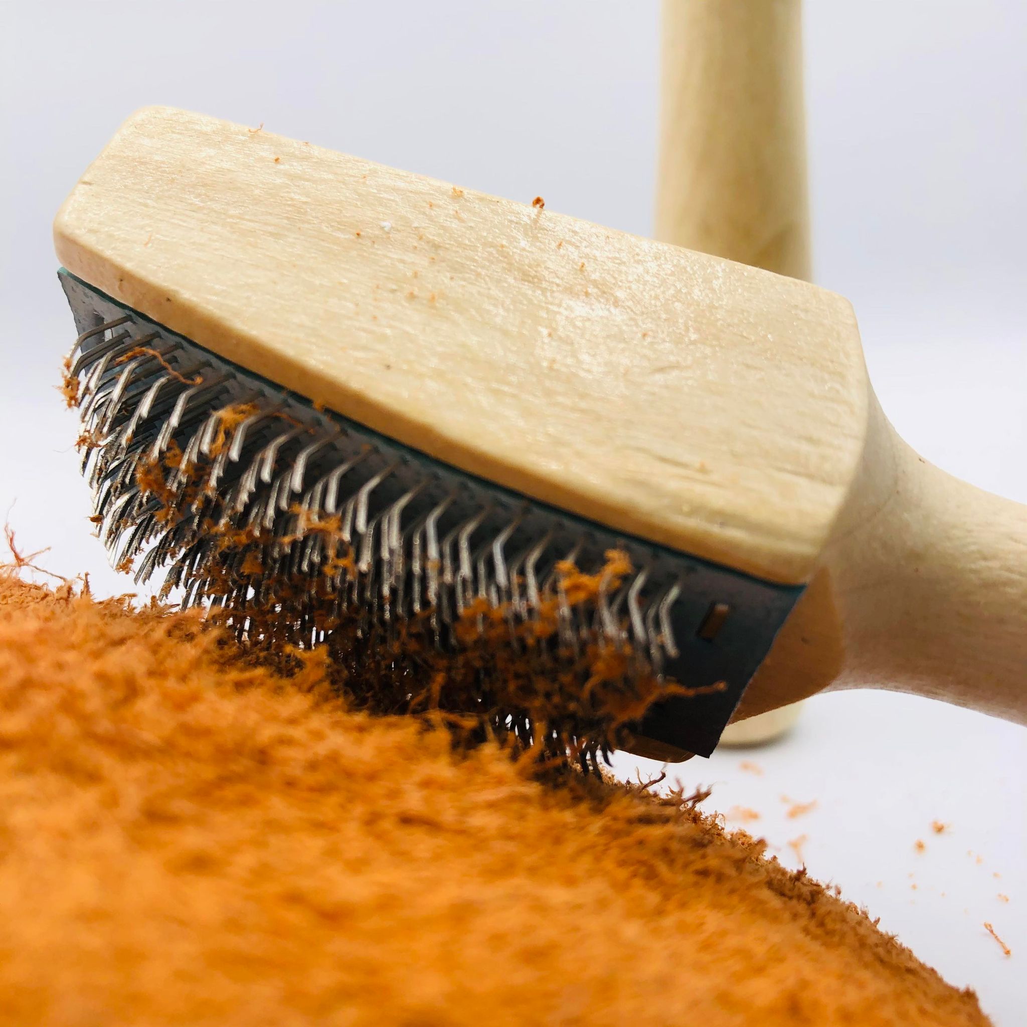 La brosse à semelle